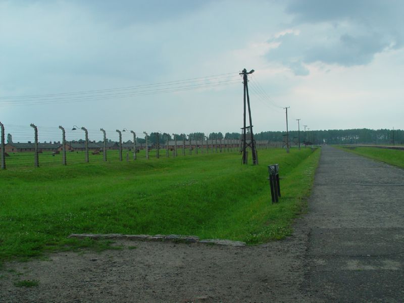 Birkenau Fence 2